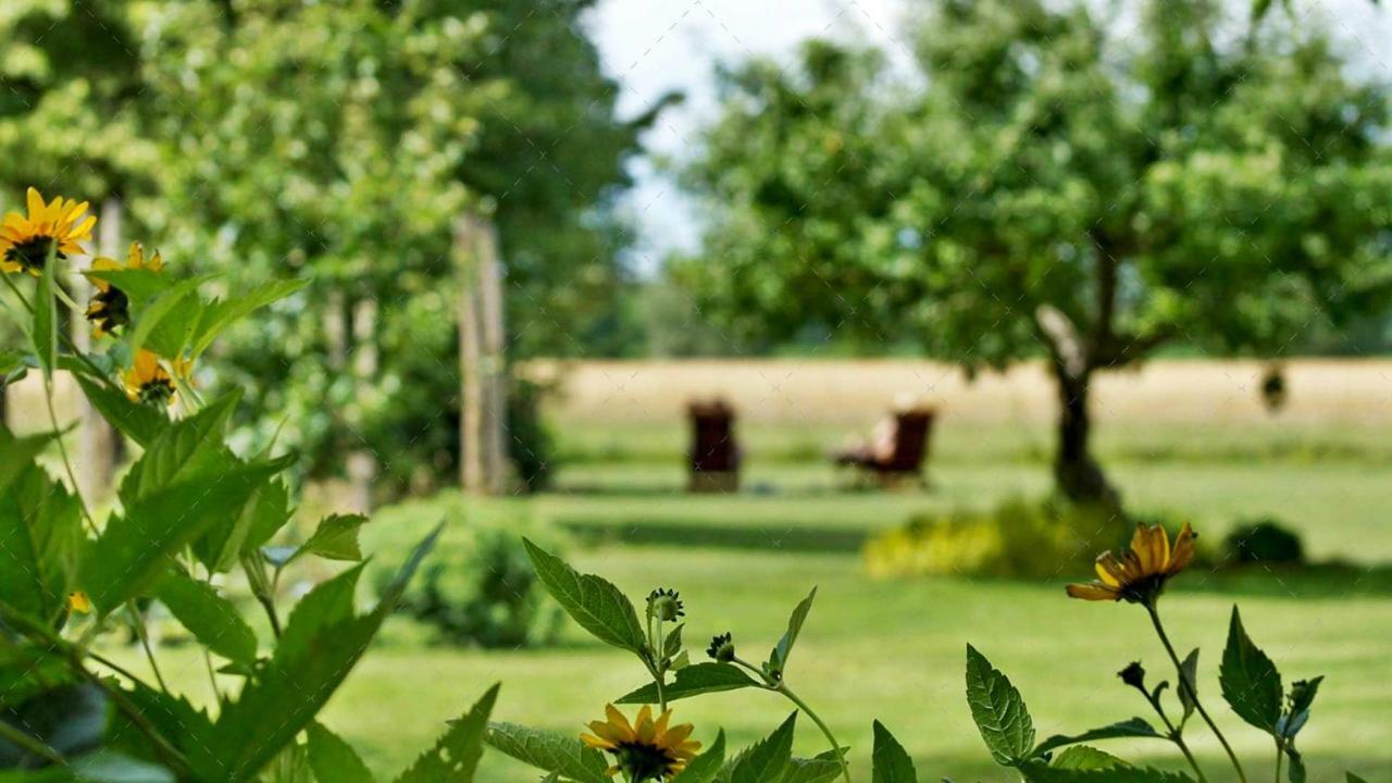 Janischs Fewo Im Spreewald, Terrasse, Grosser Garten Und Blick Inklusive Unterspreewald Exterior photo