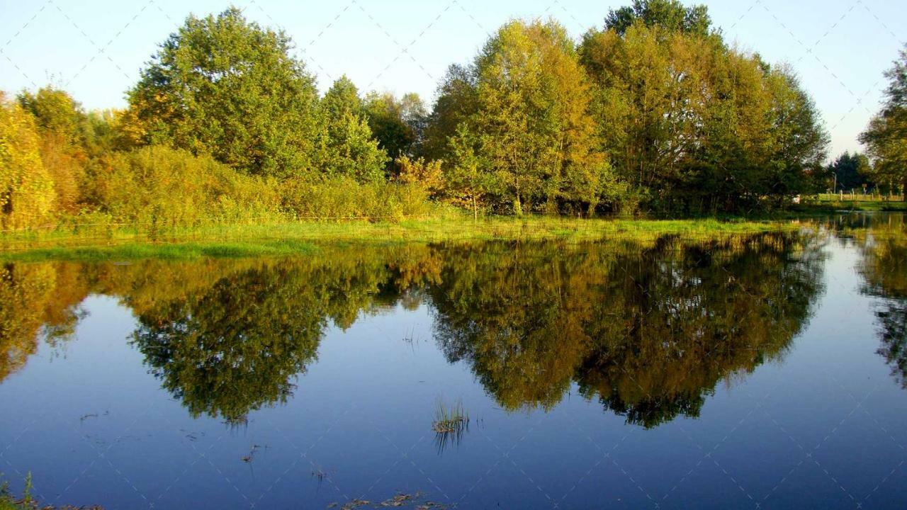 Janischs Fewo Im Spreewald, Terrasse, Grosser Garten Und Blick Inklusive Unterspreewald Exterior photo